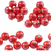 Fiasrel 10mm Colored tinted ceramic beads