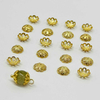 Fiasrel 50pcs 18K Gold-Plated Brass Filigree Bead Caps DIY Beading Charms Flower Cap Beads Hollow Floral Alloy Spacer Beads for DIY Jewelry Making Bracelet Necklace Earring Craft Accessory Supplier