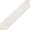 Fiasrel 3x5mm Purple Shell Seed Beads Loose