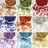 Fiasrel 2×7mm Silver-Lined Glass Tube Beads