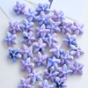 Fiasrel Purple series ceramic beads