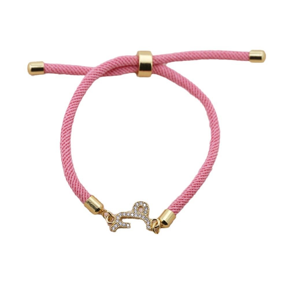 Fiasrel Woven Colourful Adjustable Bracelet 12 Constellations Bracelet Gifts