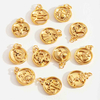 fiasrel 1bundle Stainless Steel Zodiac Charms – 18K Gold Plated Color-Preserving DIY Pendant/Titanium Steel Necklace