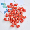 Fiasrel Colored conch ceramic beads