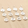 fiasrel 1bundle S925 Sterling Silver 12 Zodiac Charms – Round Pendant for DIY Bracelet Jewelry