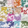 Fiasrel 15g 2-4mm Silver-Lined Glass Seed Beads