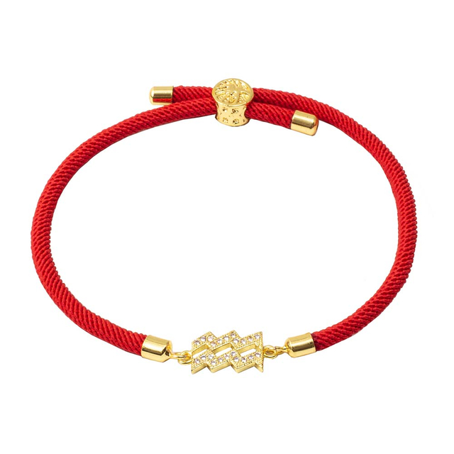 Fiasrel 18K Gold Plated Zodiac Sign Slide String Cord Friendship Bracelet Astrology Horoscope Bracelets