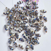 Fiasrel Colored conch ceramic beads