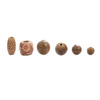 Fiasrel Natural chicken wing wood beads, round beads, bucket beads