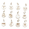 fiasrel 1bundle S925 Sterling Silver 12 Zodiac Charms – Round Pendant for DIY Bracelet Jewelry